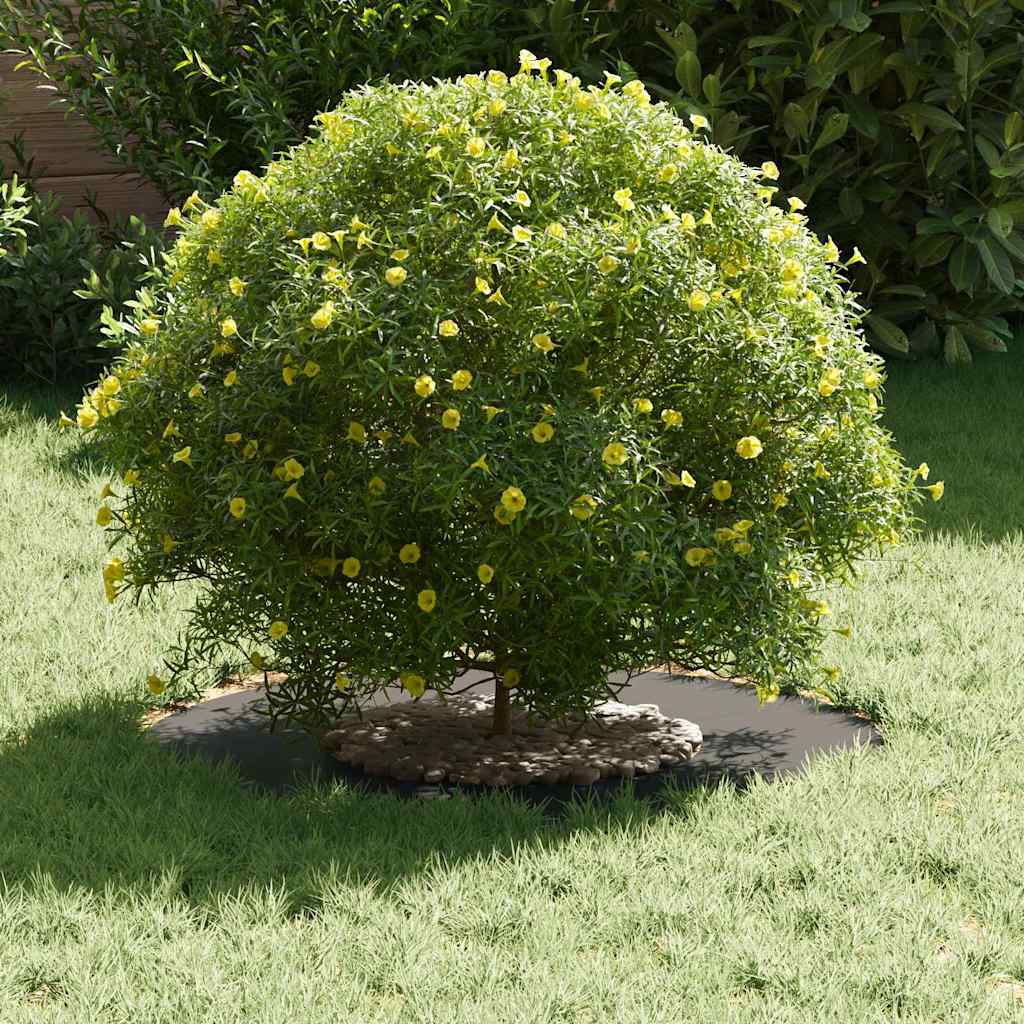 Flache Baumringe 5 pcs Schwarz Ø30 / 60 cm Stahl